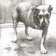 Alice In Chains (30Th Anniversary Reissue) [Color Vinyl] [2LP] [Vinyl]