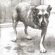 Alice In Chains (30Th Anniversary Reissue) [Color Vinyl] [2LP] [Vinyl]