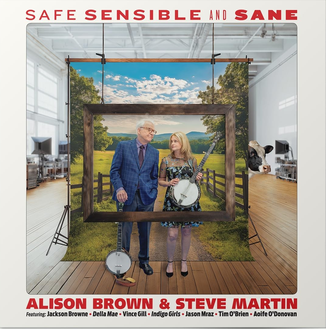 Safe, Sensible And Sane [Vinyl]