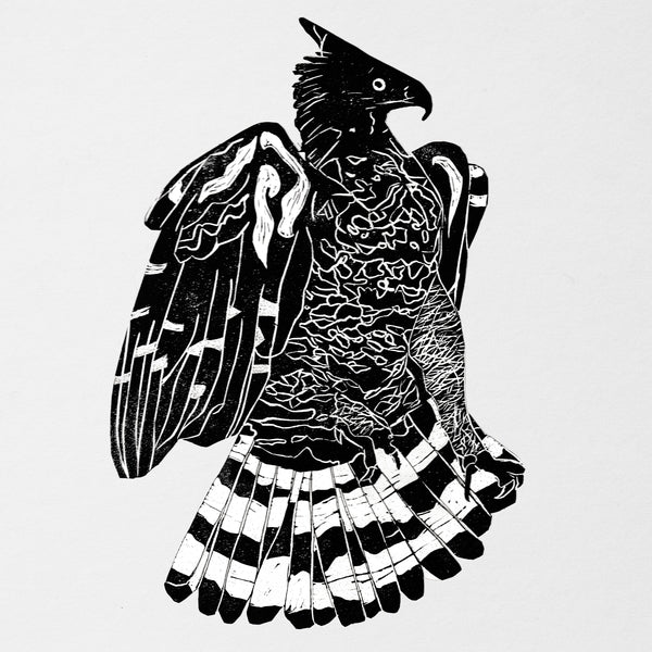 ALPHA STEPPA & NAI-JAH - Crowned Eagle [2LP] [Vinyl]