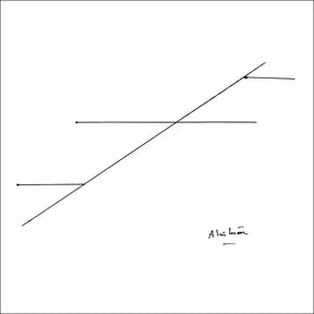 Works For The Ever Present Orchestra (Vinyl)