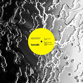 Moments of Inertia (Vinyl)