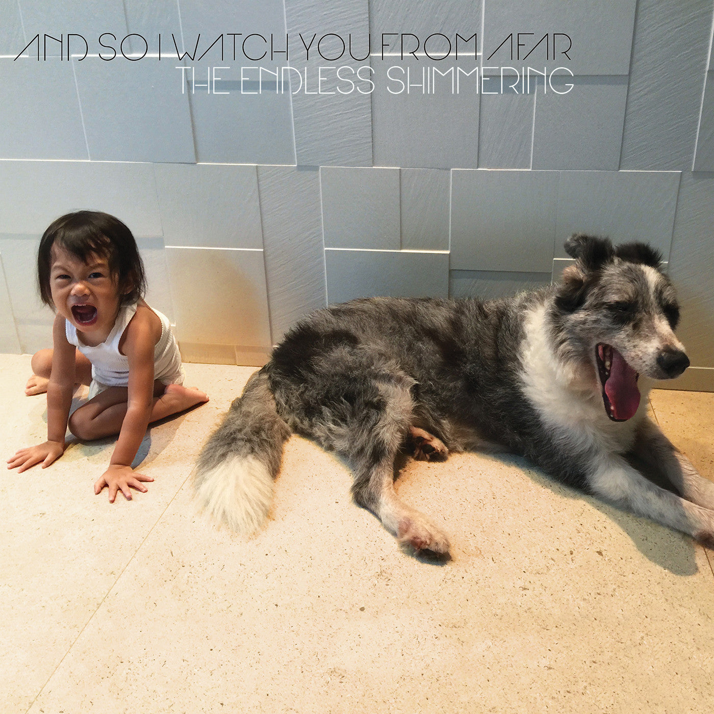 The Endless Shimmering (CD)