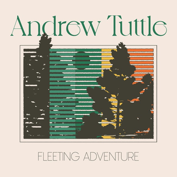 Fleeting Adventure (Vinyl)