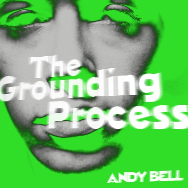 The Grounding Process (Vinyl)