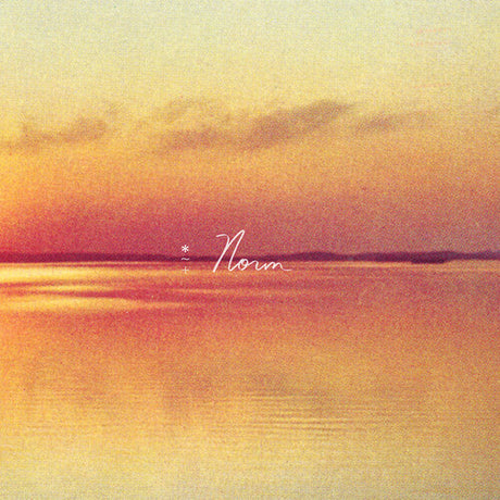 Norm: Eco Mix (Indie Exclusive, Gatefold LP Jacket) (Vinyl)