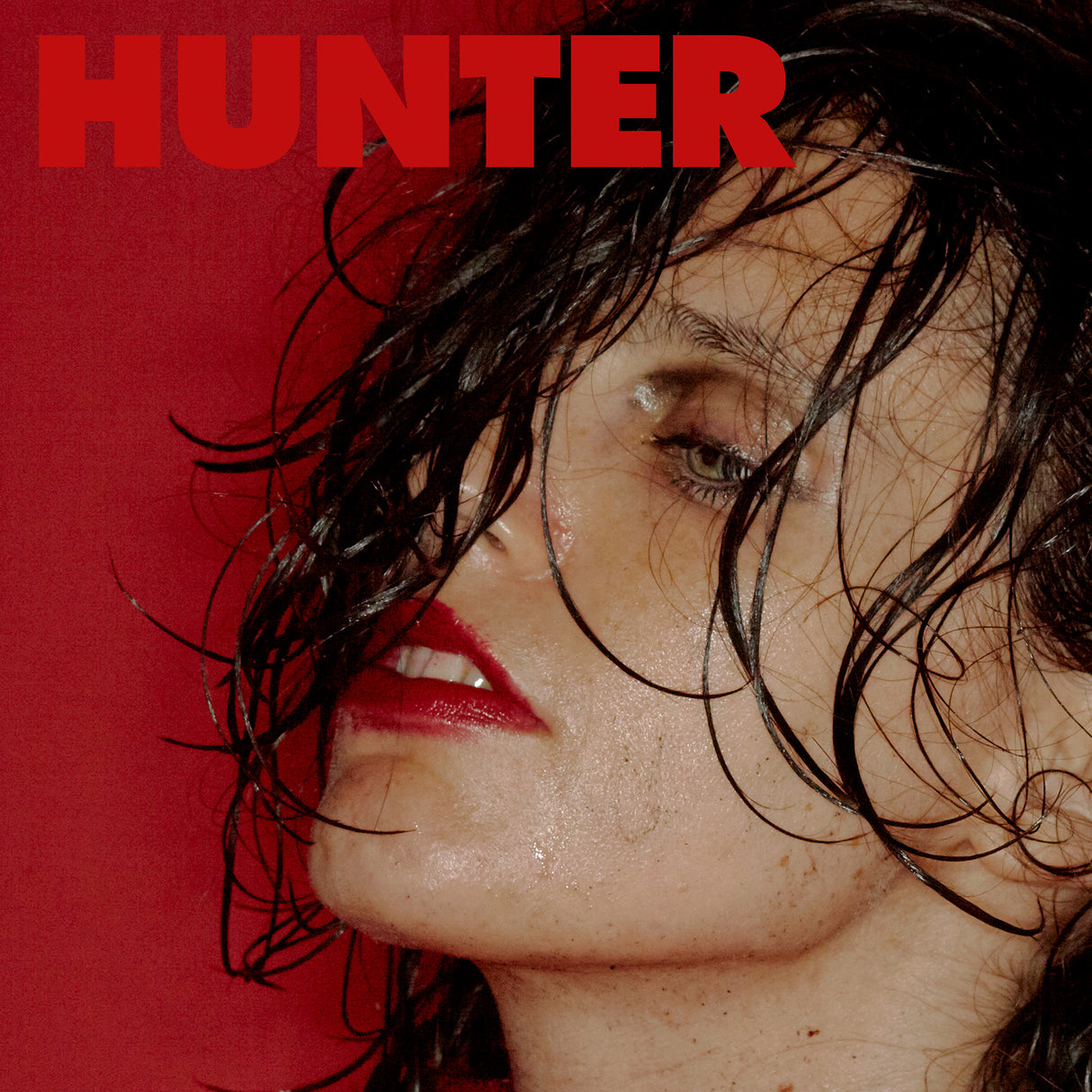 Hunter (Vinyl)