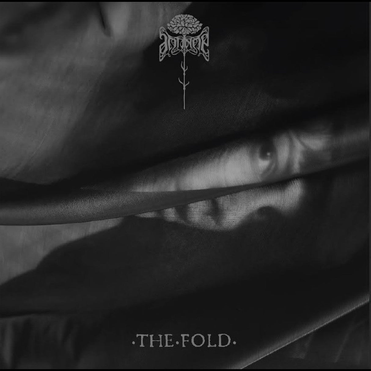 The Fold [CD]