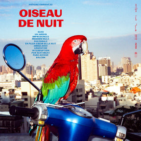 Oiseau De Nuit (Vinyl)