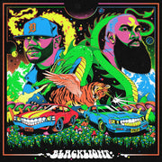 Blacklight (Neon Green Vinyl) (Vinyl)