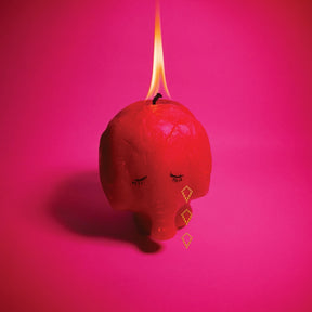 Pink Elephant (Gatefold Jacket) (64 page booklet) (Vinyl)