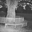 A New Place 2 Drown (Instrumentals) [Vinyl]