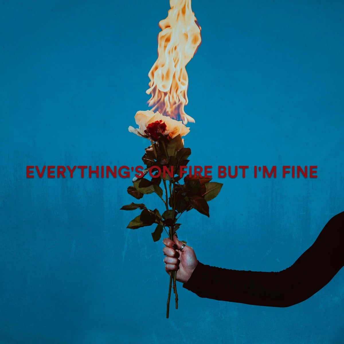 Everything's On Fire But I'm Fine [Explicit Content] (Red Marble Colored Vinyl) (Vinyl)