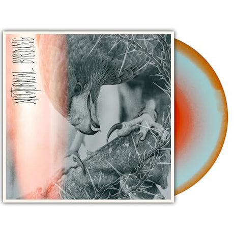Nocturnal Birding (Vinyl)