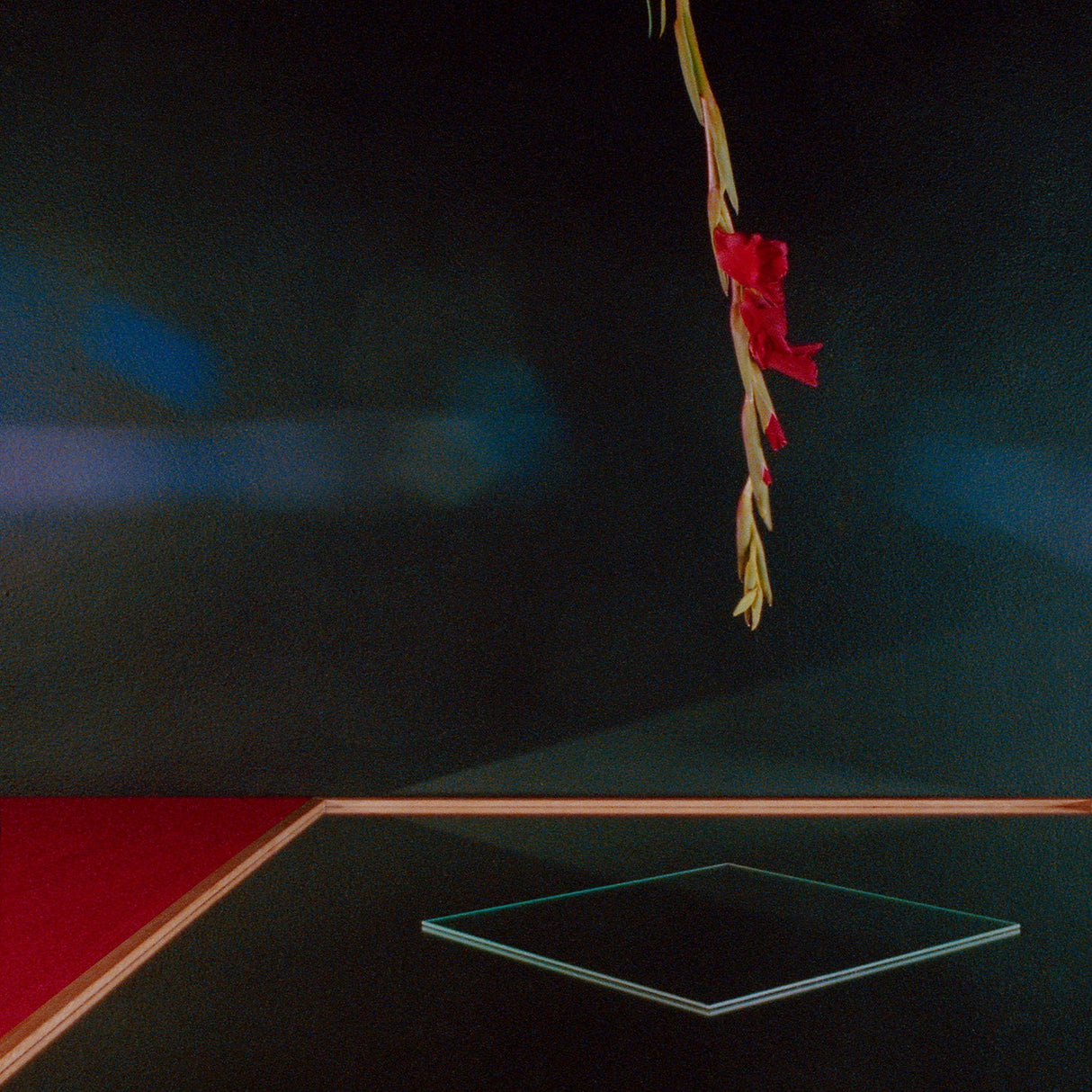 Surlendemains Acides (Vinyl)