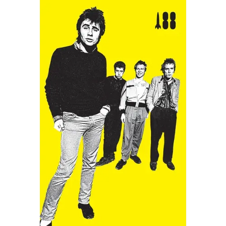 I Was a Teenage Sex Pistol