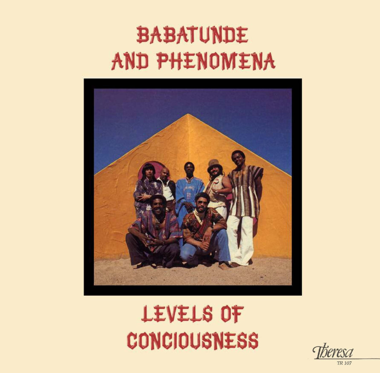 Levels Of Consciousness (Vinyl)