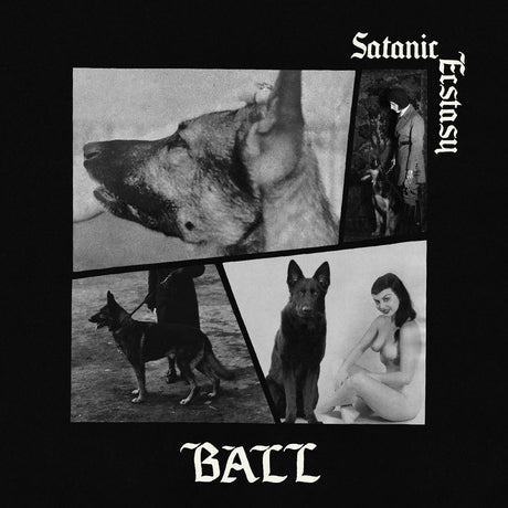 Satanic Ecstasy (Deluxe Edition, Satanic Sex Splatter Vinyl) (Vinyl)