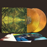 Vinyl