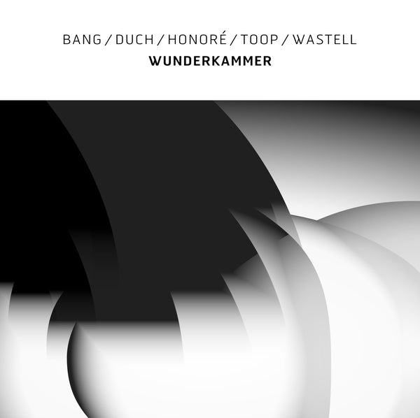 Wunderkammer (Vinyl)