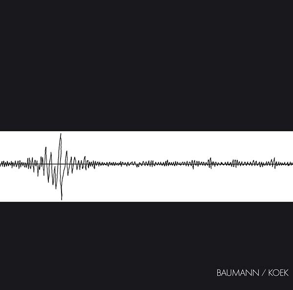 Baumann/Koek (Vinyl) - Apocalypse Vinyl