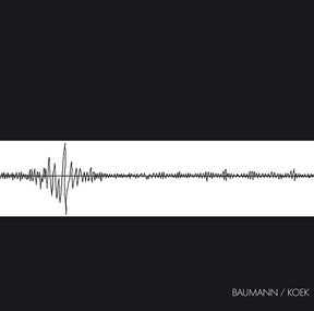 Baumann/Koek (Vinyl) - Apocalypse Vinyl
