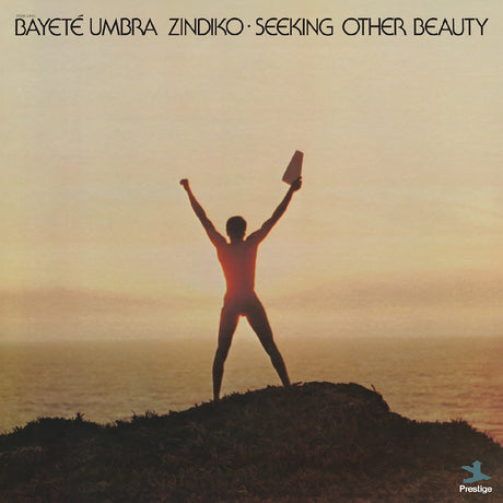 Seeking Other Beauty (All-Analog) (Plasma Vinyl) [Vinyl]