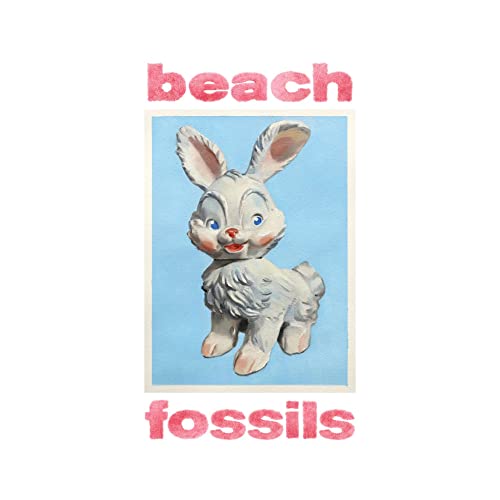 BEACH FOSSILS BUNNY - AZUL POLVO [Discos y LP]