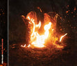 Walk Through Fire (CD)