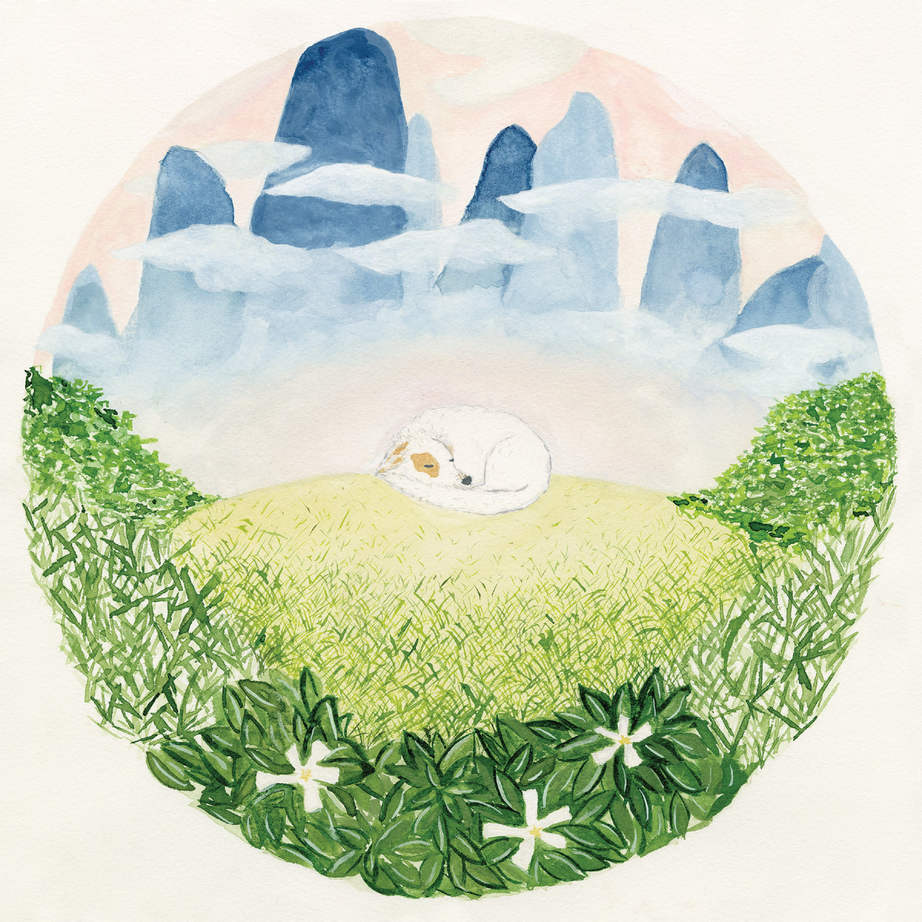 Songs For Sleeping Dogs (CD)