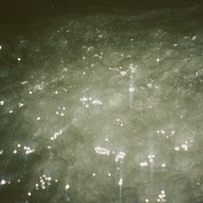 BEN KACZOR - Sirene [LP] [Vinyl]