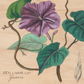 Yowzers (Ipomoea Jalapa Marble Pink Vinyl) (Vinyl)