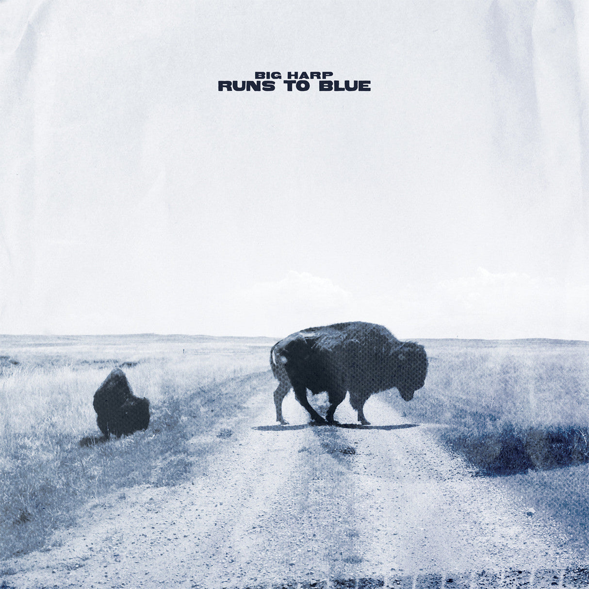Runs To Blue [CD]