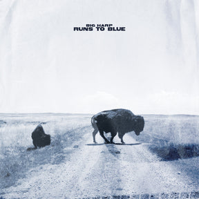Runs To Blue [CD]