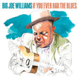 If You Ever Had The Blues (CD)