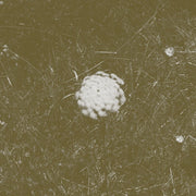 The Clear Distance (CD)