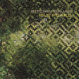 BITCHIN BAJAS - Isle Peaks [Vinyl]