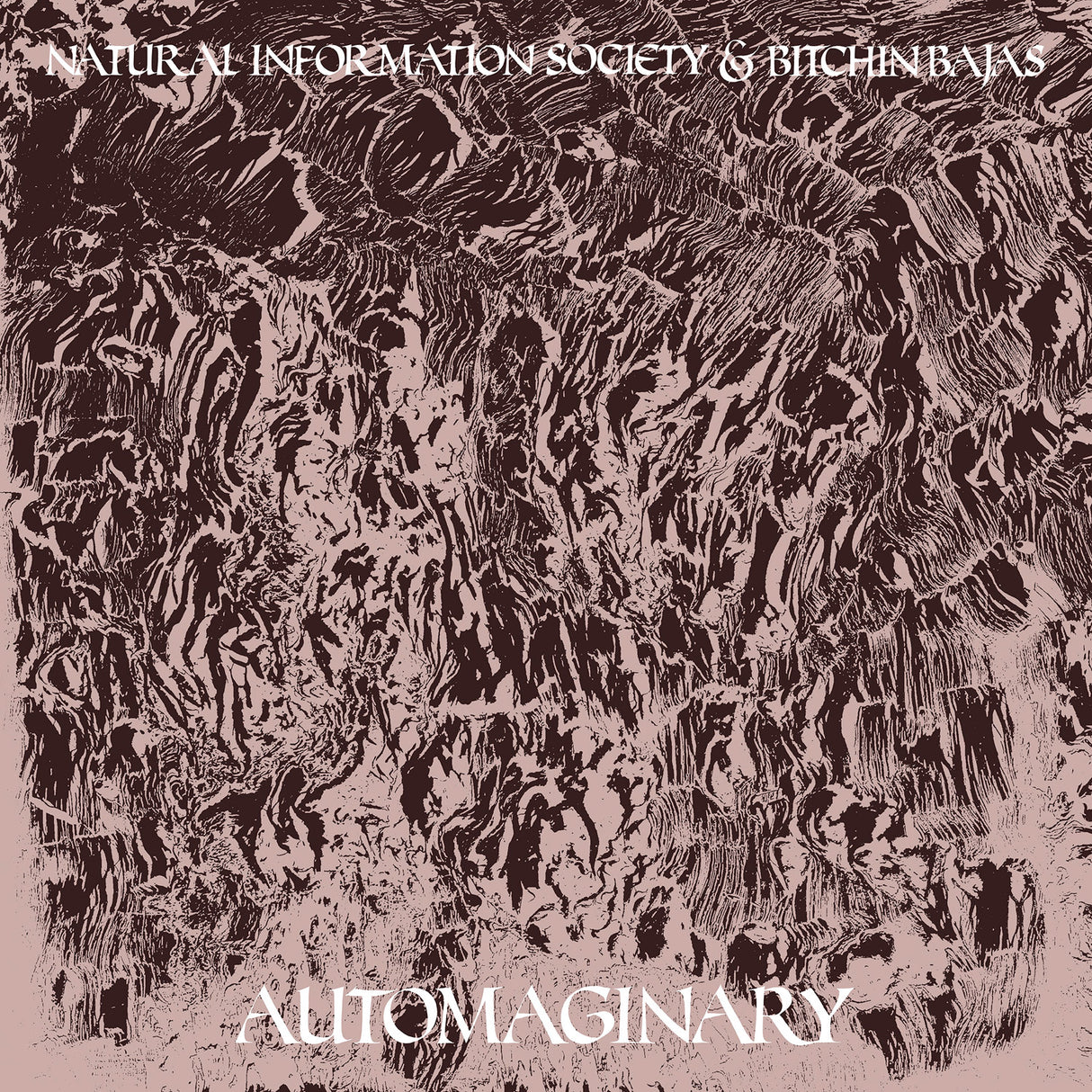 Automaginary (Vinyl)