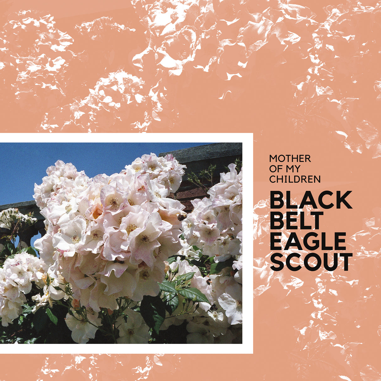 Black Belt Eagle Scout Mother Of My Children (GRAPEFRUIT SPLATTER VINYL) [Records & LPs]