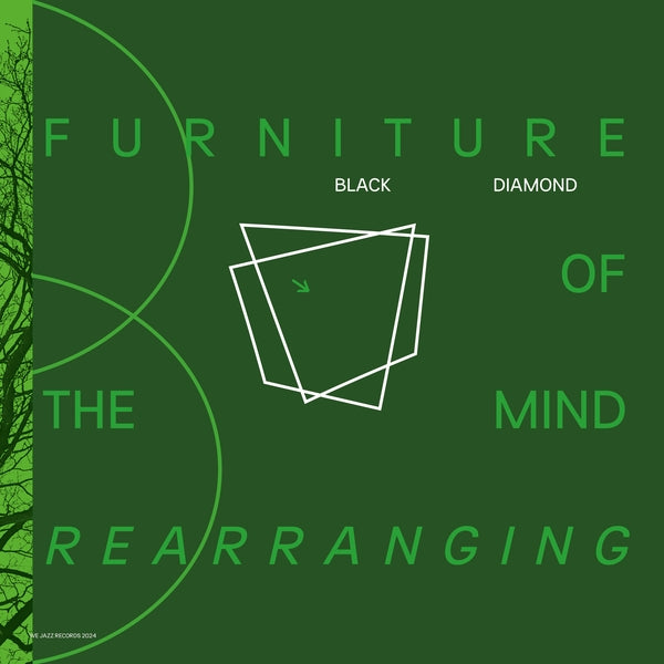 Furniture Of Mind Rearranging (Vinyl)