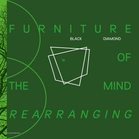 Furniture Of Mind Rearranging (Vinyl)