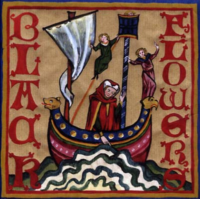 I Grew From A Stone To A Statue (CD)