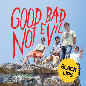 Good Bad Not Evil (DELUXE EDITION, SKY BLUE VINYL) (Vinyl) - Apocalypse Vinyl
