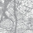BLACK RAIN - Obliteration Bliss [CD] [CD]