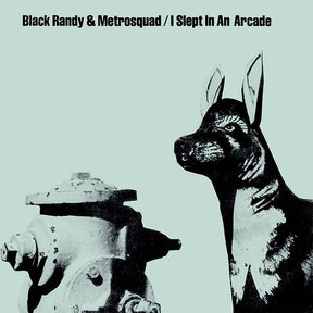 I Slept In An Arcade (Vinyl)