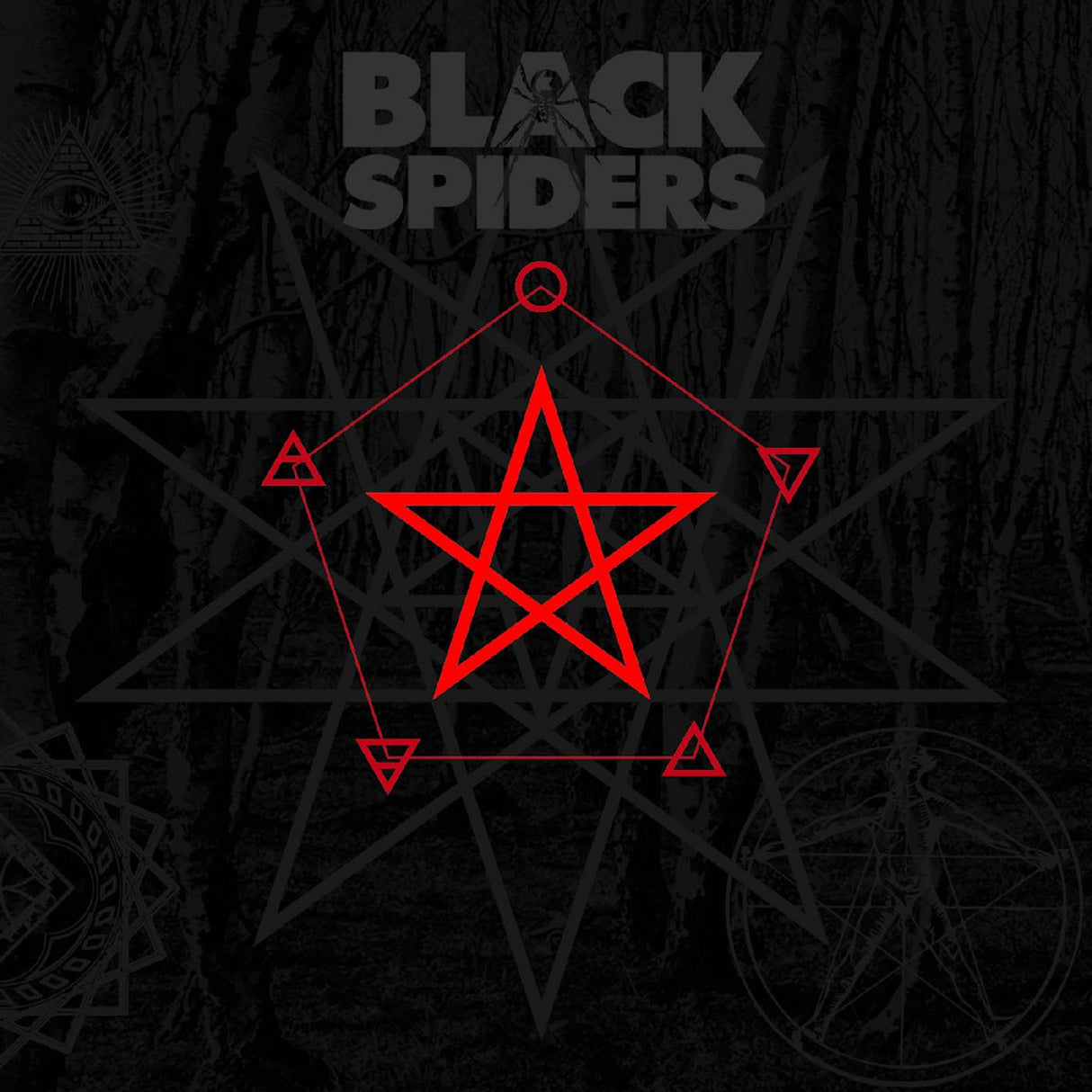 Black Spiders (FESTIVAL TOILET COLOR VINYL) (Vinyl)