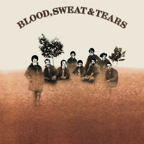 Blood Sweat & Tears (Vinyl)