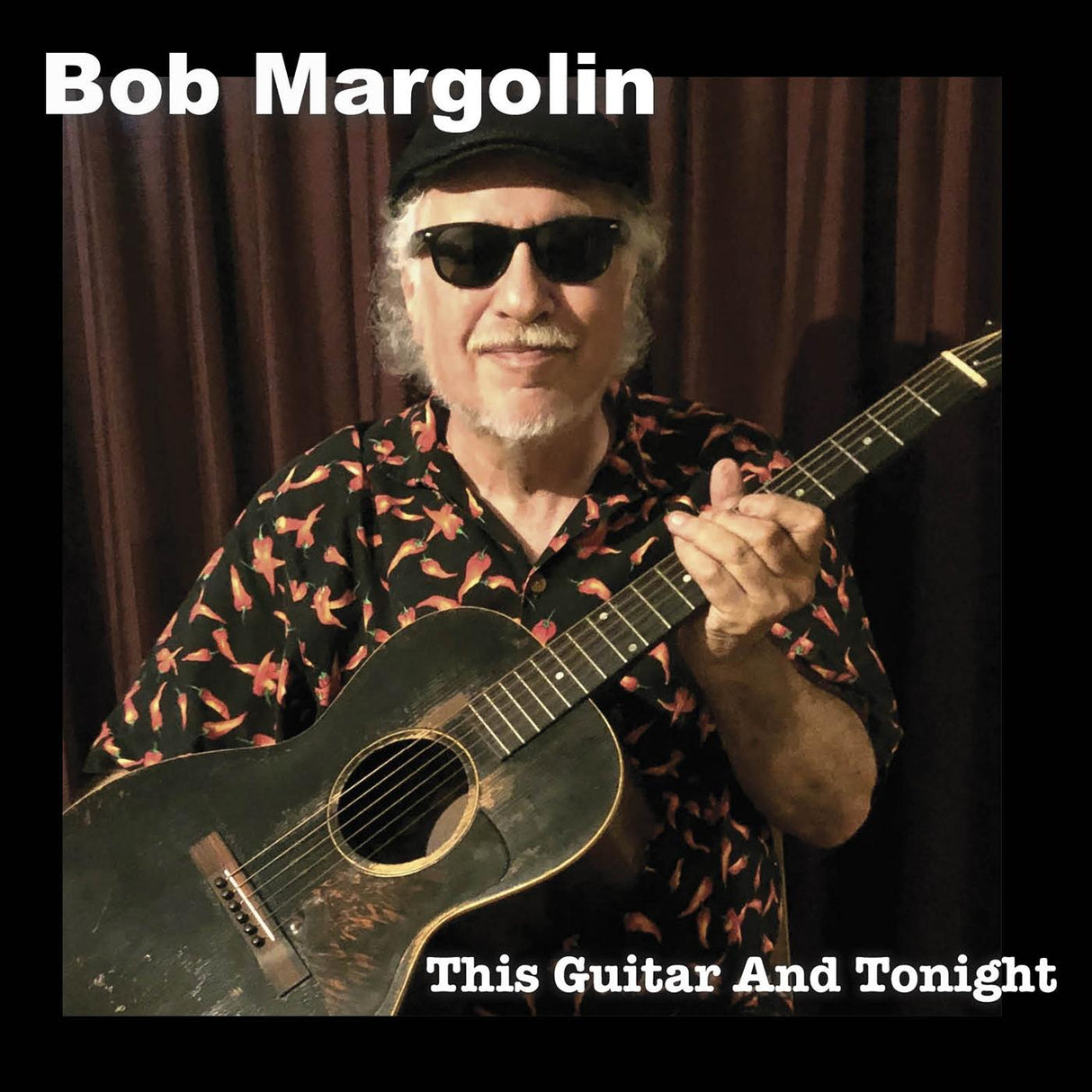 Bob Margolin This Guitar And Tonight [Music CDs]