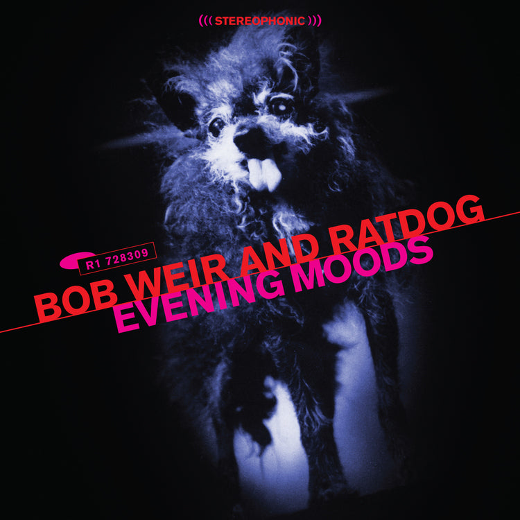 Evening Moods [Vinyl]
