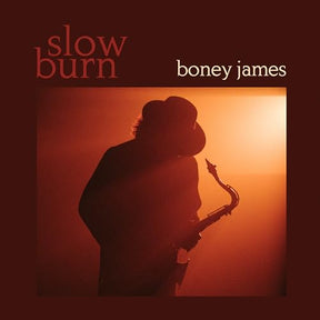 Slow Burn [LP] (Vinyl)